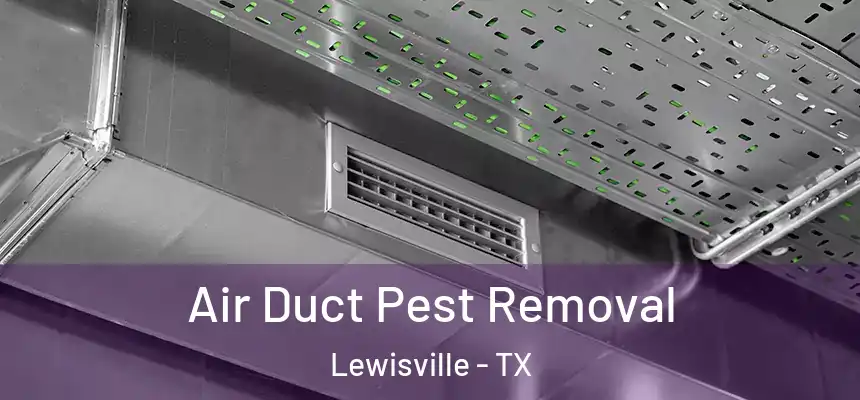 Air Duct Pest Removal Lewisville - TX