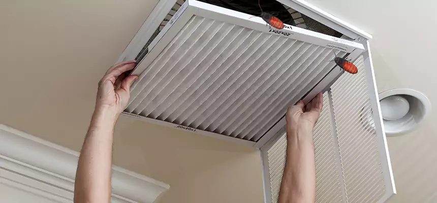 Preventive Cockroach-Proofing for Ducts in Lewisville