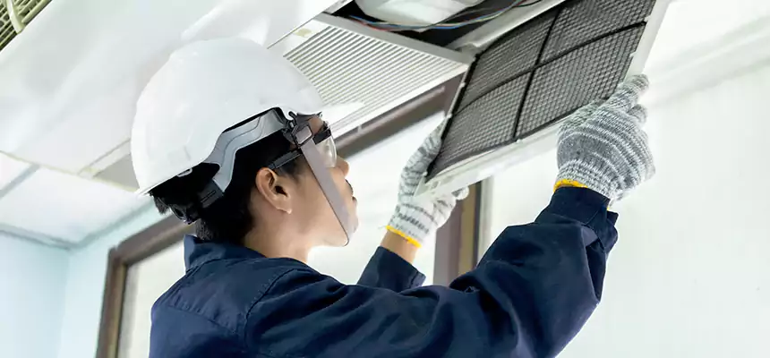 Our Mold & Mildew Removal from Air Ducts Services in Lewisville, TX