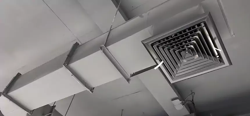 Our Pest Removal From Ducts Services in Lewisville, TX