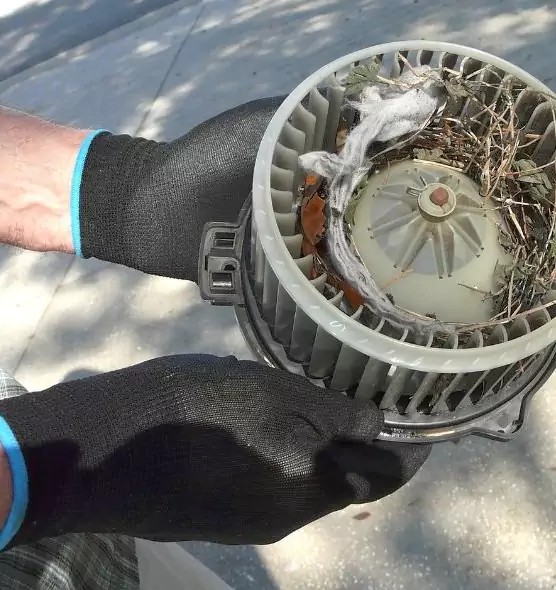 About Air Duct Mice Removal in Lewisville, TX