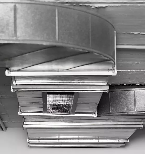 Professional Air Duct Pet Hair Removal in Lewisville, TX