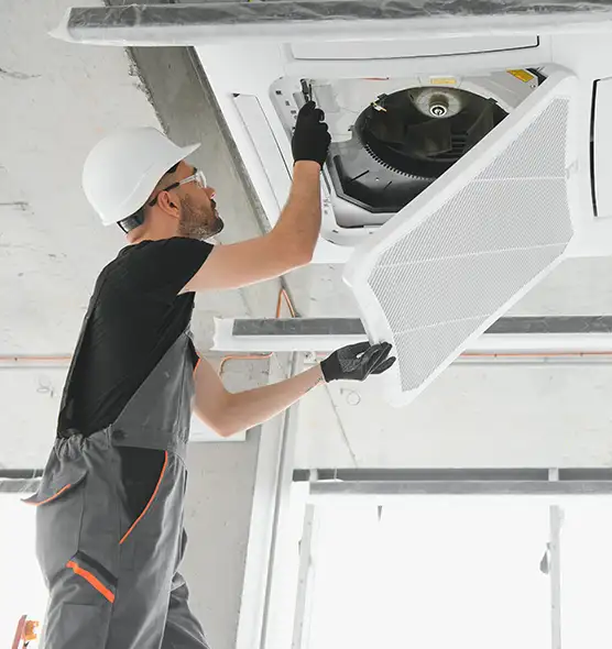 About Air Duct Rodent Removal in Lewisville, TX