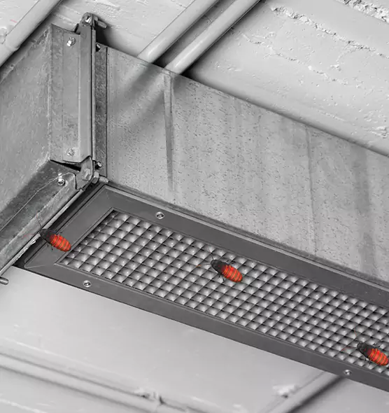 Affordable Insect Removal from Air Ducts in Lewisville, TX
