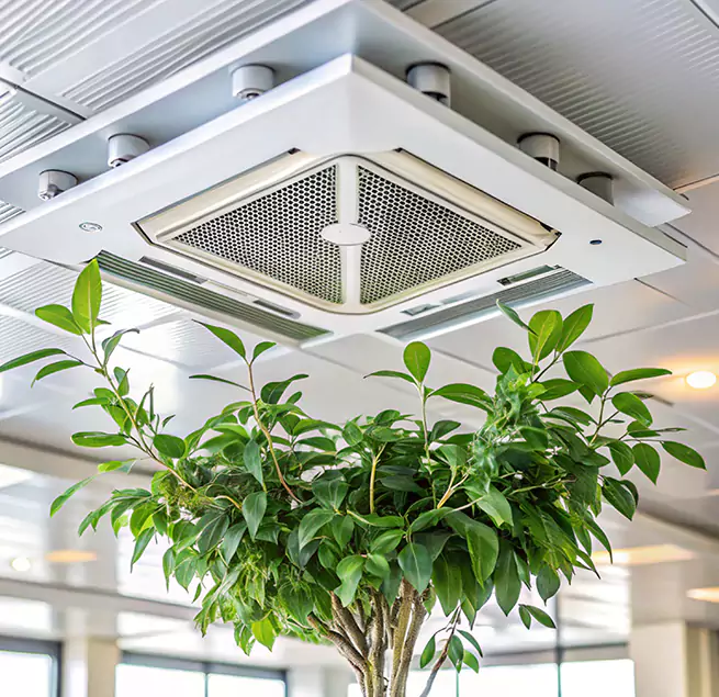 Why Homeowners & Businesses Trust Us in Lewisville, TX?