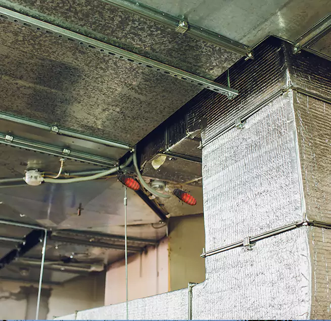 Why Homeowners & Businesses Trust Us Lewisville, TX?