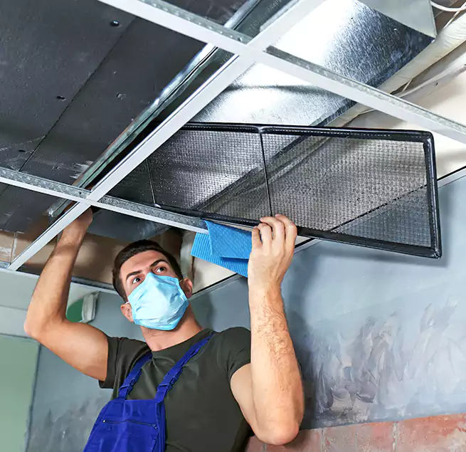 Why Homeowners Businesses Trust Us in Lewisville, TX